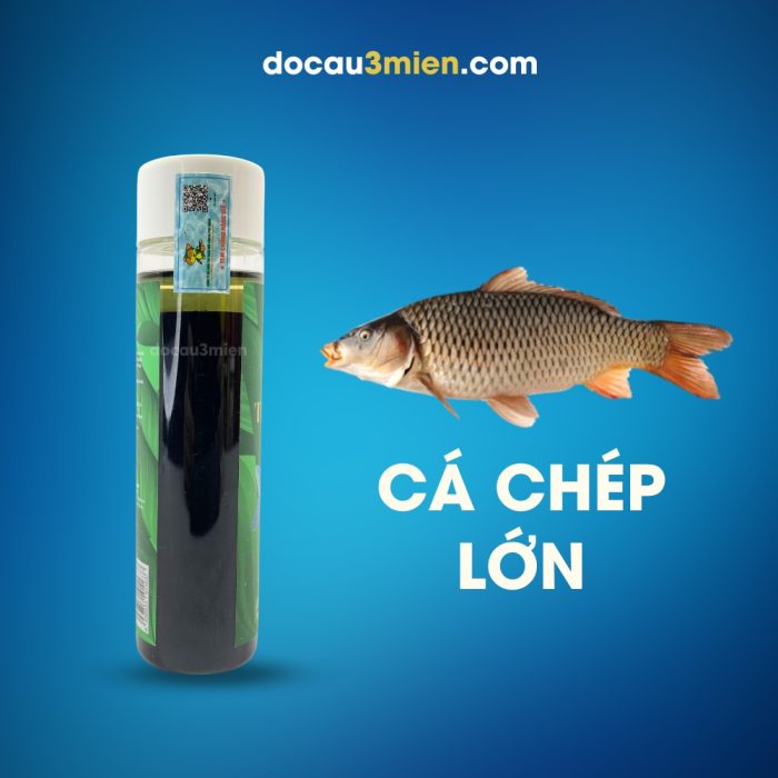 Hương Liệu Câu Cá Thần Trắm Phú Thành Dùng Câu Cá Chép