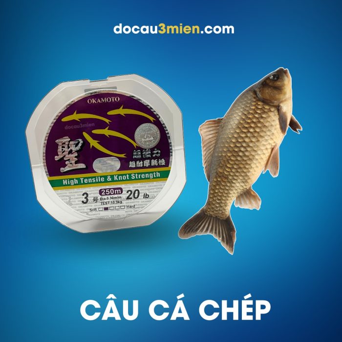 Dây Cước Câu Cá Okamoto 4 Con Cá Dùng Câu Cá Chép