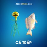 Mồi Câu Daiwa Chinu Dama Wide Dùng Câu Cá Tráp