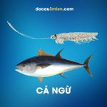 Daiwa Mồi Mềm Dùng Câu Cá Ngừ