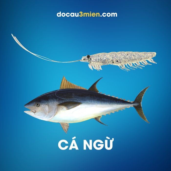 Daiwa Mồi Mềm Dùng Câu Cá Ngừ
