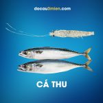 Daiwa Mồi Mềm Dùng Câu Cá Thu