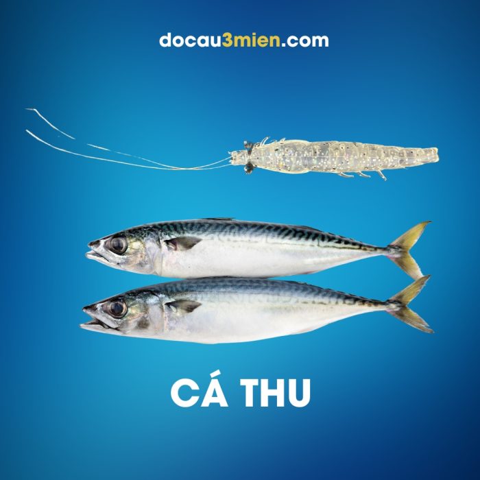 Daiwa Mồi Mềm Dùng Câu Cá Thu