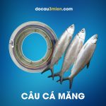 Dây dù PE Aishang Image Today Câu Cá Măng