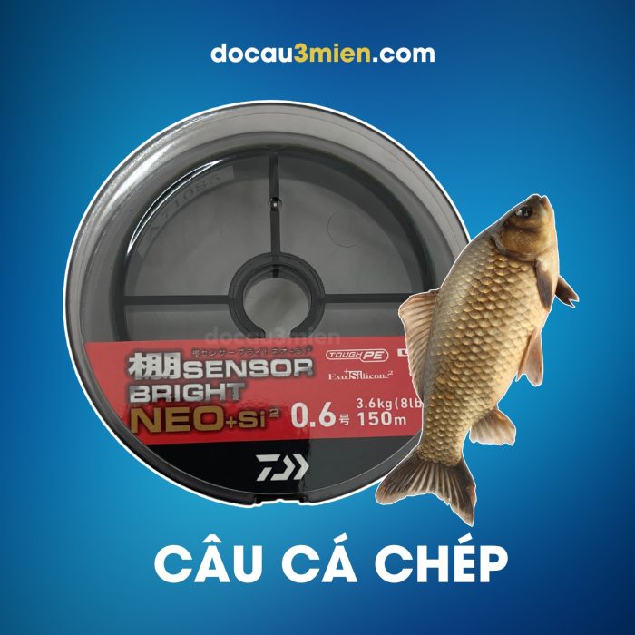 Dây Dù Câu Cá Daiwa Sensor Bright Neo+Si2 Dùng Câu Cá Chép