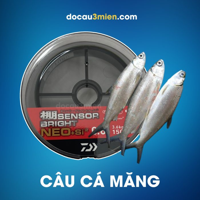 Dây Dù Câu Cá Daiwa Sensor Bright Neo+Si2 Dùng Câu Cá Măng