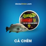 Dây dù PE Toman Strongest X8 Dùng Câu Cá Chẽm
