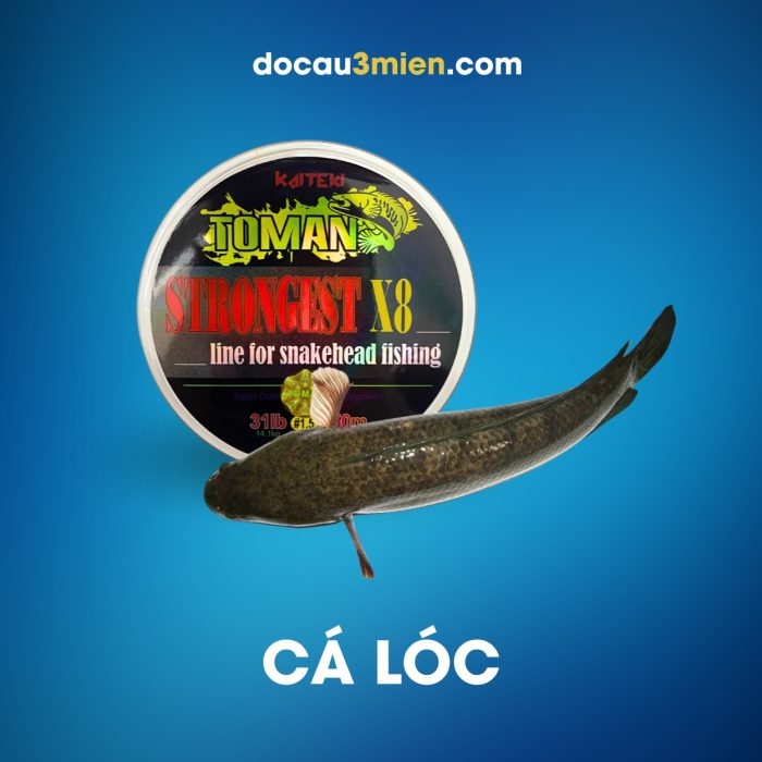 Dây dù PE Toman Strongest X8 Dùng Câu Cá Lóc