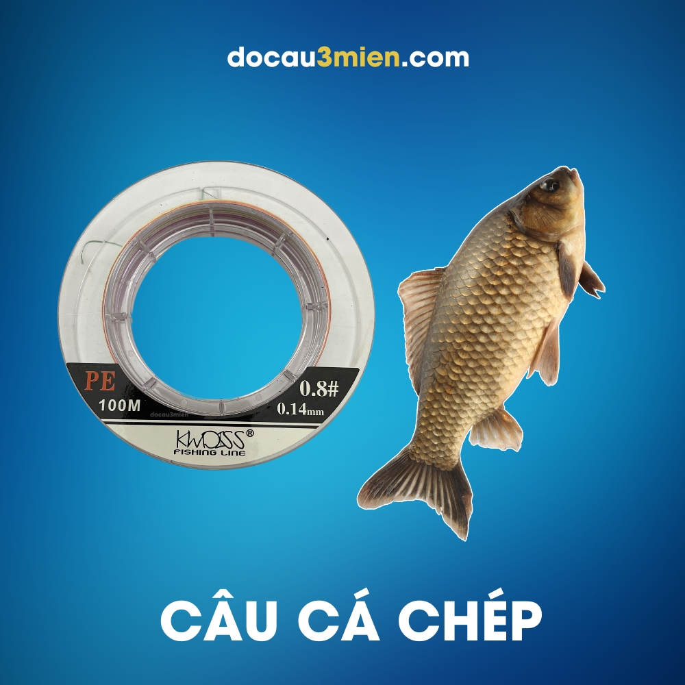 Dây Dù Câu Cá Pirate PE X12 Dùng Câu Cá Chép