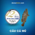 Dù Daiwa UVF Saltiga Sensor X12 Braid Ex+Si Câu Cá Mú