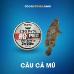 Dù Varivas Crown Fune PE X8 200m Dùng Câu Cá Mú
