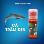 Hương Dụ Ngâm Ốc Sa Phạm Vị Thơm Dùng Câu Cá Trắm Đen
