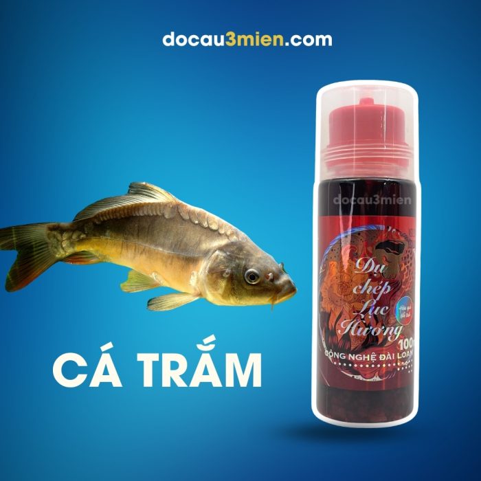 Hương Liệu Câu Cá Dụ Chép Lục Hương Dùng Câu Cá Trắm