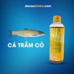 Hương Liệu Câu Cá Hồng Minh Lộ Dùng Câu Cá Trắm Cỏ