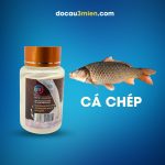 Hương Liệu Câu Cá Sữa Non Sa Phạm Dùng Câu Cá Chép
