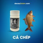 Hương Liệu Lục Khắc Hương 101 Dùng Câu Cá Chép