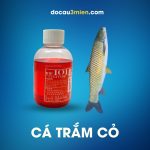 Hương Liệu Ngư Dụ 101 Dùng Câu Cá Trắm Cỏ