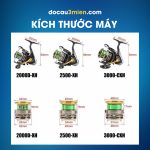 Kích Thước Máy Câu Đứng Daiwa Exceler LT