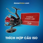 Máy Câu Đứng Daiwa Cygnus 2500XH-LBD Thích Hợp Câu ISO