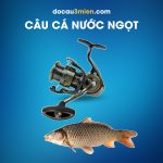 Máy Câu Đứng Daiwa Airity PC LT Dùng Câu Cá Nước Ngọt