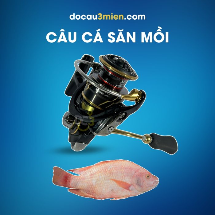 Máy Câu Đứng Daiwa Ballistic Japan LT2000D Dùng Câu Cá Săn Mồi