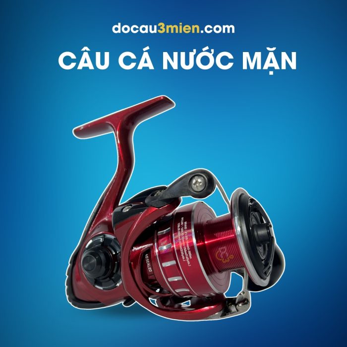 Máy câu đứng Daiwa BGRR LT câu cá nước mặn