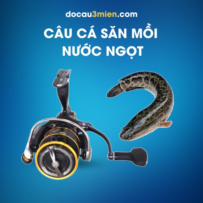 Máy Câu Đứng Daiwa Caldia LT Dùng Câu Cá Săn Mồi Nước Ngọt