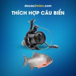 Máy Câu Đứng Daiwa Crosscast Carp Thích Hợp Câu Biển
