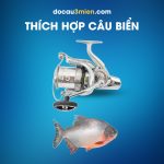 Máy Câu Đứng Daiwa Crosscast Surf Thích Hợp Câu Biển