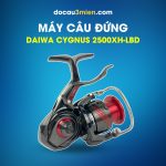 Máy Câu Daiwa Cygnus 2500XH-LBD