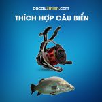 Máy Câu Đứng Daiwa Cygnus 2500XH-LBD Thích Hợp Câu Biển