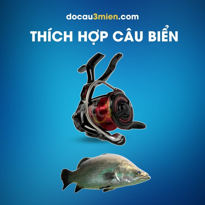Máy Câu Đứng Daiwa Cygnus 2500XH-LBD Thích Hợp Câu Biển