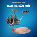 Máy Câu Daiwa Exceler LT Câu Cá Săn Mồi
