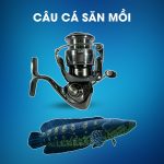 Máy Câu Daiwa Exist LT 2500-XH Dùng Câu Cá Săn Mồi