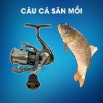 Máy Câu Daiwa Exist SF1000S-P Dùng Câu Cá Săn Mồi