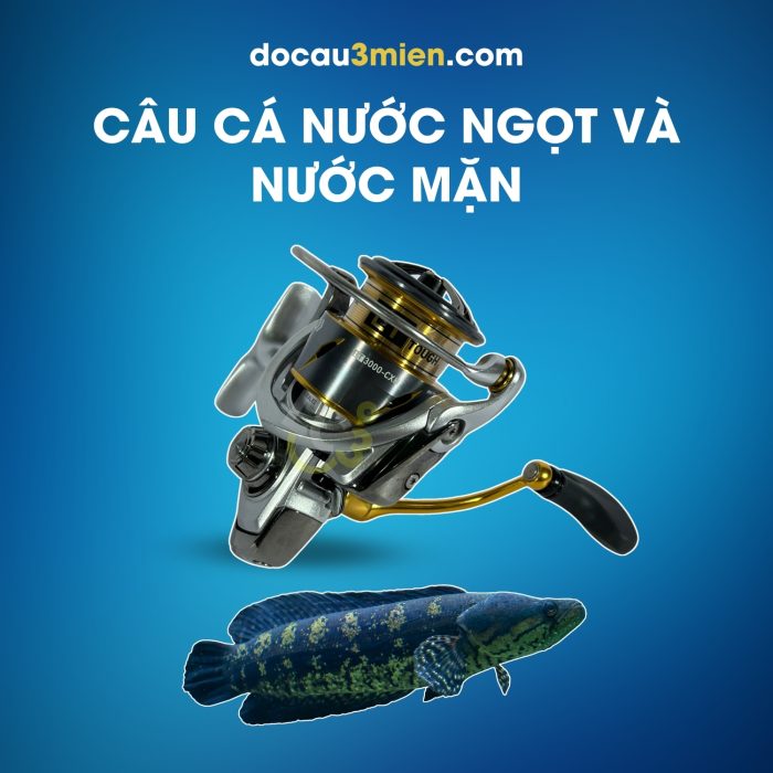 Máy Câu Đứng Daiwa Freams 3000 CXH Câu Cá Nước Ngọt Và Nước Mặn