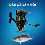 Máy câu Daiwa Legalis LT 1000D-XH Dùng Câu Cá Săn Mồi