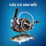 Máy Câu Đứng Daiwa Legalis LT Dùng Câu Cá Săn Mồi