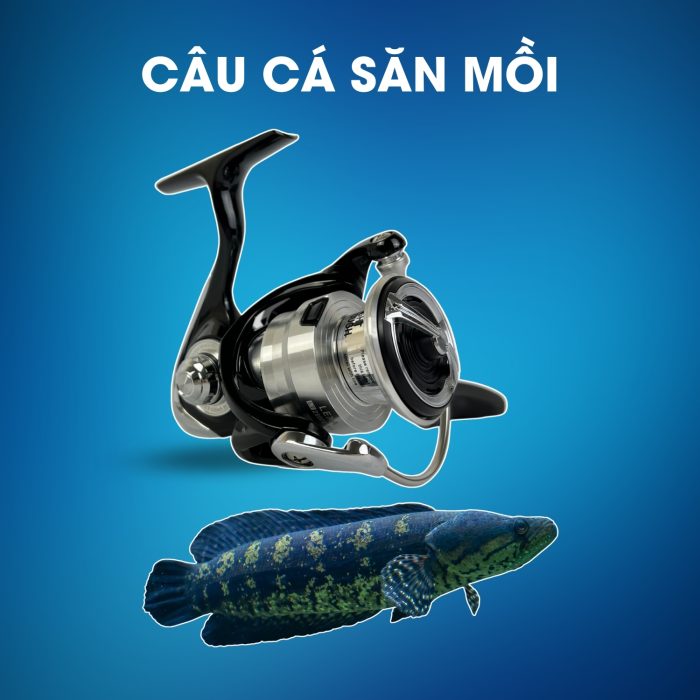 Máy Câu Daiwa Lexa LT2500-XH Dùng Câu Cá Săn Mồi