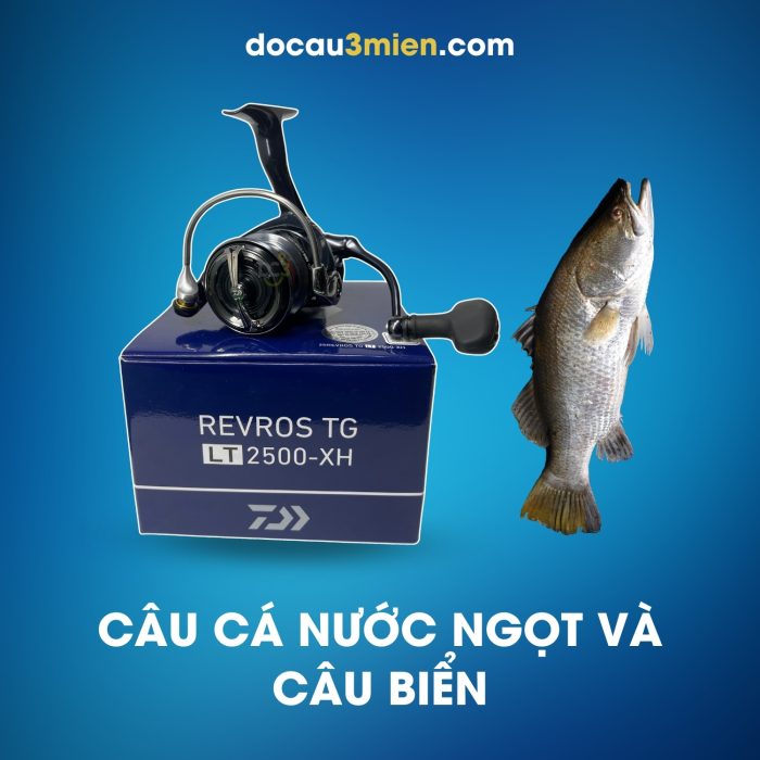 Máy Câu Đứng Daiwa Revros TG LT Dùng Câu Nước Ngọt Và Câu Biển