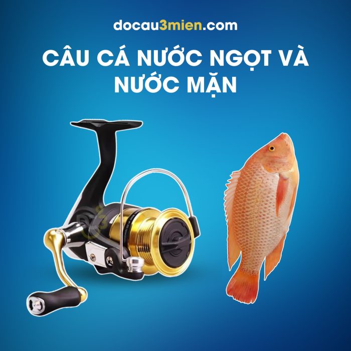 Máy Câu Đứng Daiwa RS Câu Cá Nước Ngọt Và Nước Mặn