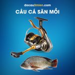 Máy Câu Đứng Daiwa Tournament ISO 3000XH-LBD Dùng Câu Cá Săn Mồi