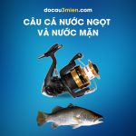 Máy Câu Đứng Shimano FX 2019 FC Câu Cá Nước Ngọt Và Nước Mặn