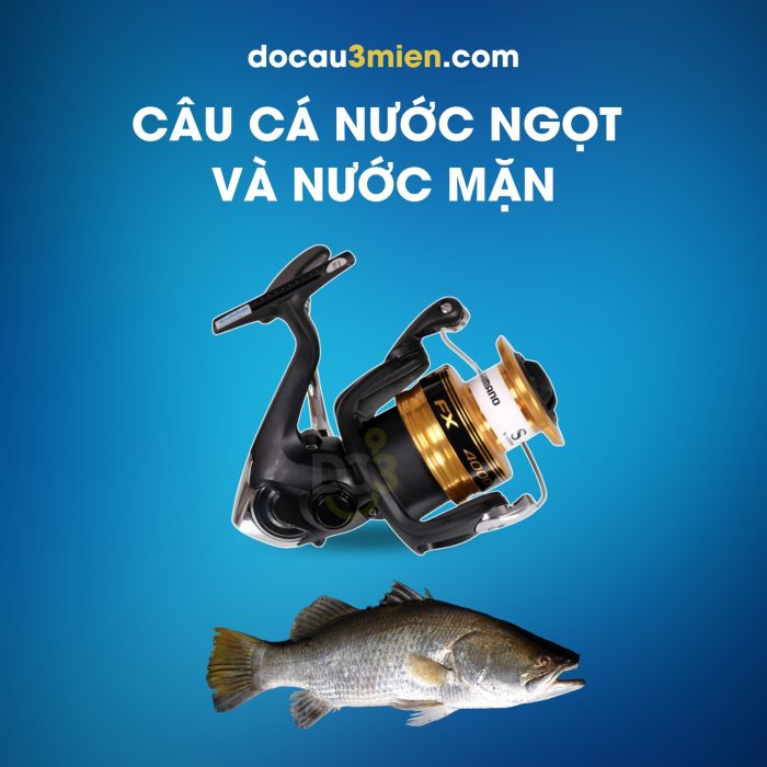 Máy Câu Đứng Shimano FX 2019 FC Câu Cá Nước Ngọt Và Nước Mặn