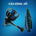 Máy Câu Đứng Shimano Nexave C5000HG Câu Sông Hồ