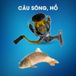 Máy Câu Đứng Shimano Sedona 2500HG Dùng Câu Sông, Hồ