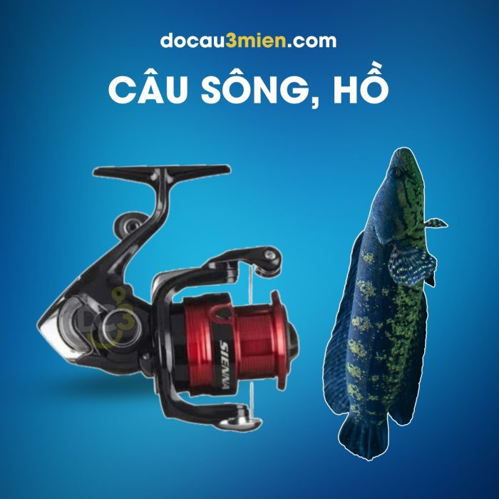 Máy Câu Đứng Shimano Sienna FG Câu Sông, Hồ
