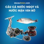 Máy Câu Đứng Shimano Stradic CI4+ Câu Cá Nước Ngọt Và Nước Mặn Ven Bờ
