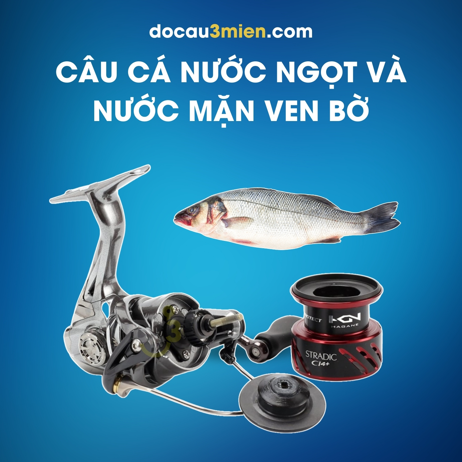 Máy Câu Đứng Shimano Stradic CI4+ Câu Cá Nước Ngọt Và Nước Mặn Ven Bờ