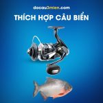 Máy Câu Đứng Shimano Stradic SW Thích Hợp Câu Biển